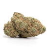 Sunset Pink – Indica