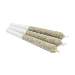 GasDank Pre-Roll Pack