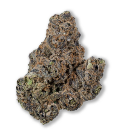 Purple Trainwreck – Indica