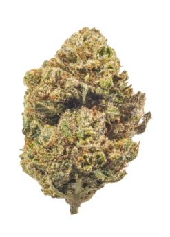 Purple Kush – Indica BULK