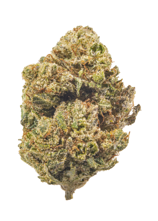 Purple Kush – Indica BULK