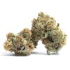 Purple Punch – Sativa BULK