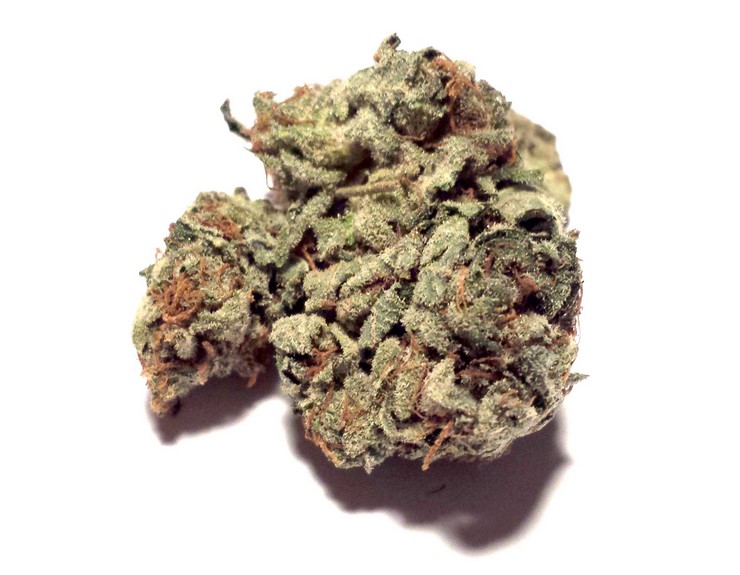 Rob Ford Kush - Rob Ford Kush Marijuana Strain Review