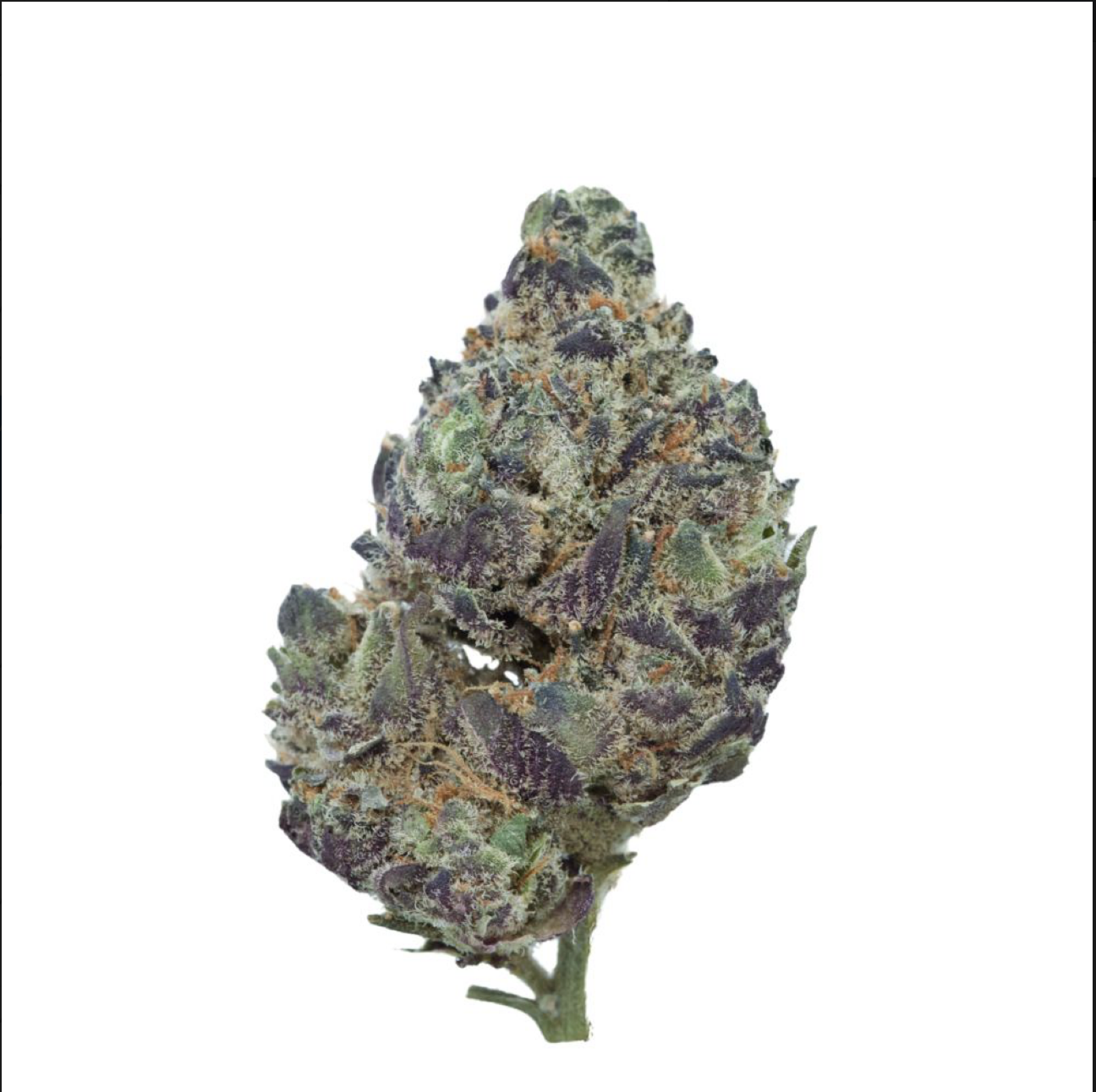 Amnesia Haze – Sativa