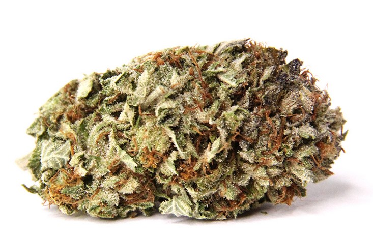 Sensi Skunk 4 - Sensi Skunk Marijuana Strain Review