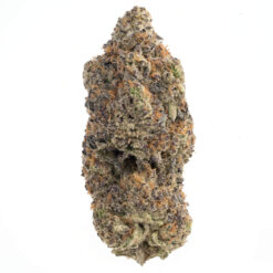 Sherbert LSO – Hybrid