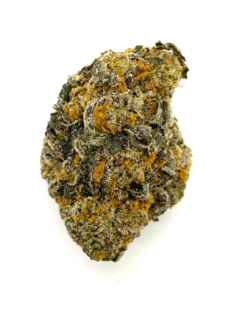 SOUR COOKIES – SATIVA