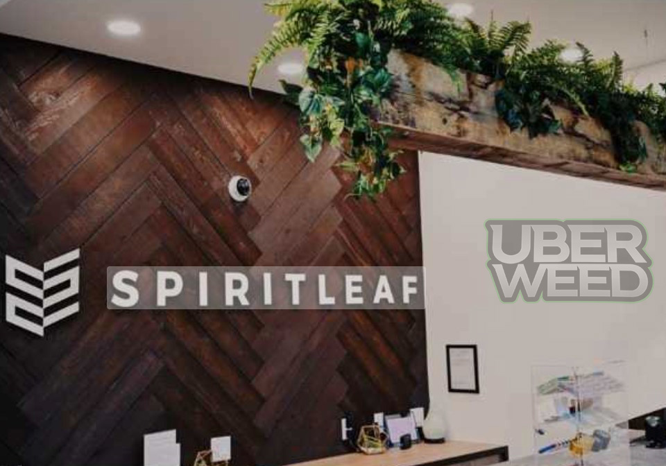 Spiritleaf in Windsor