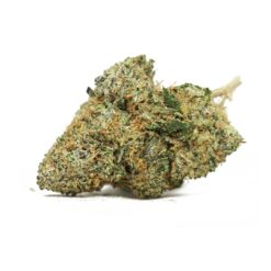 Stinky Pink – Indica