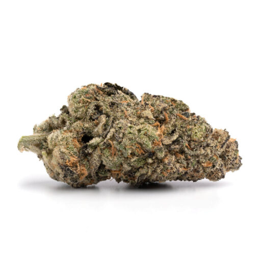 Sunset Pink – Indica