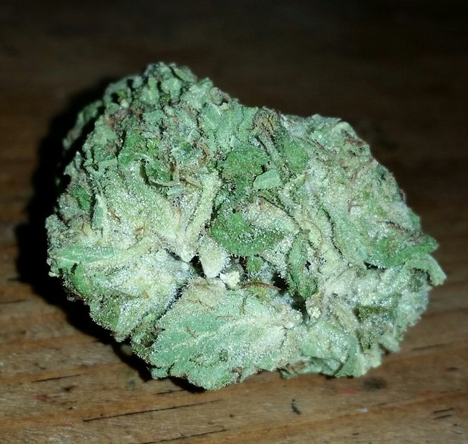 Sweet Diesel Strain 1 - Sweet Diesel Marijuana Strain Review