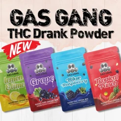 Gas Gang 40mg THC Drink Powder