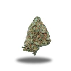 Monster Bubba – Indica