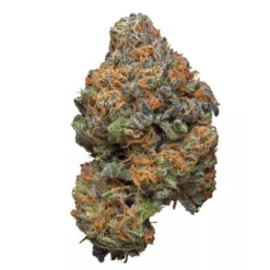 Crazy Monkey – Sativa