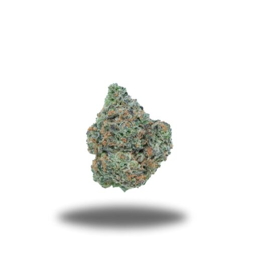 Chocolope – Sativa