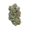 Purple Kush – Indica