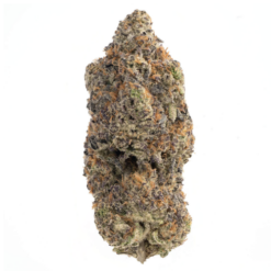 Slayer OG – Indica