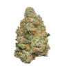 Lucky 7 Pink – Indica