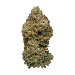 Cherry Kush – Hybrid