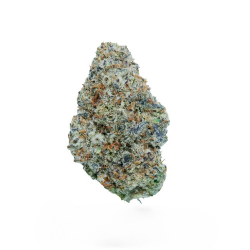 Banana Jack – Hybrid