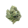 Pink Rockstar – Indica