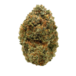 Park Fire Pink – Indica