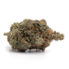 GG4 – Sativa