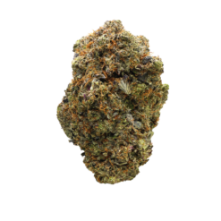 12 Week Tuna LSO – Indica