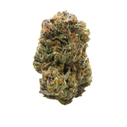 Donkey Butter – Hybrid