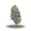 Pink Ivy – Indica