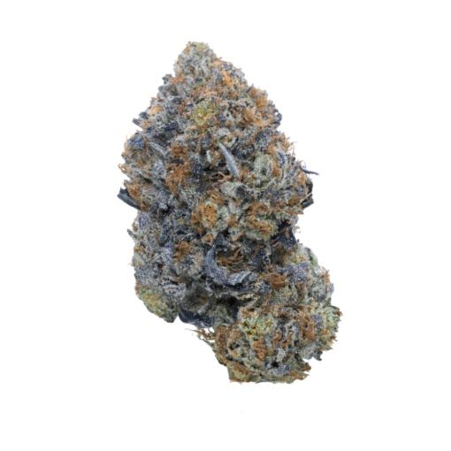 Pink Gas Mask LSO – Indica