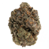 Quattro Pink – Indica