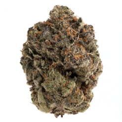 Cherry Berry – Hybrid/Sativa