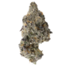 Bruce Banner – Sativa