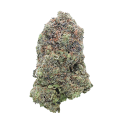 Purple Rockstar – Hybrid