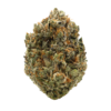 Ghost Fire Pink – Indica