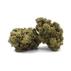 LA Runtz – Sativa BULK