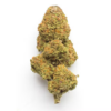 Octane 98 LSO – Indica