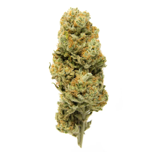 Recon – Indica Bulk