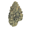 Amnesia Haze – Sativa