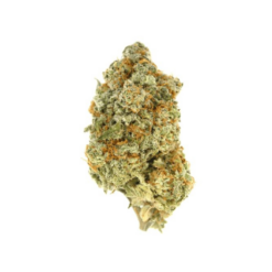 Citrix – Sativa