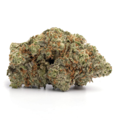 Super Pink – Indica