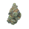 Apple Fritter – Sativa