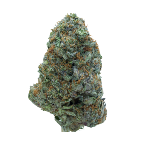 Atomic Pink – Indica