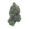 Pink Gas Mask LSO – Indica