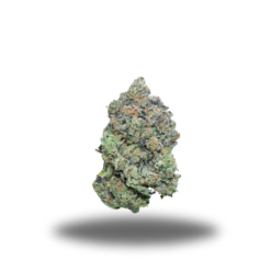 Superman Pink – Indica