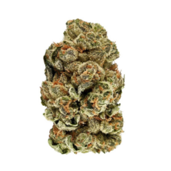 Cookie Kush – Indica