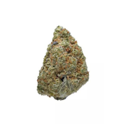 Pink Lemonade – Indica