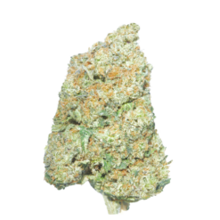 Pink Supreme – Indica