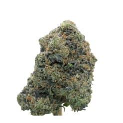 Pink Inferno – Indica